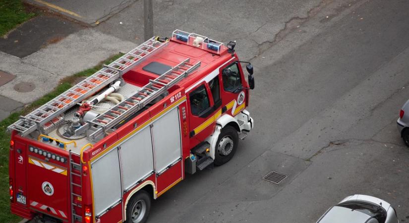 Fák dőltek a 7-es főútra Galambok térségében