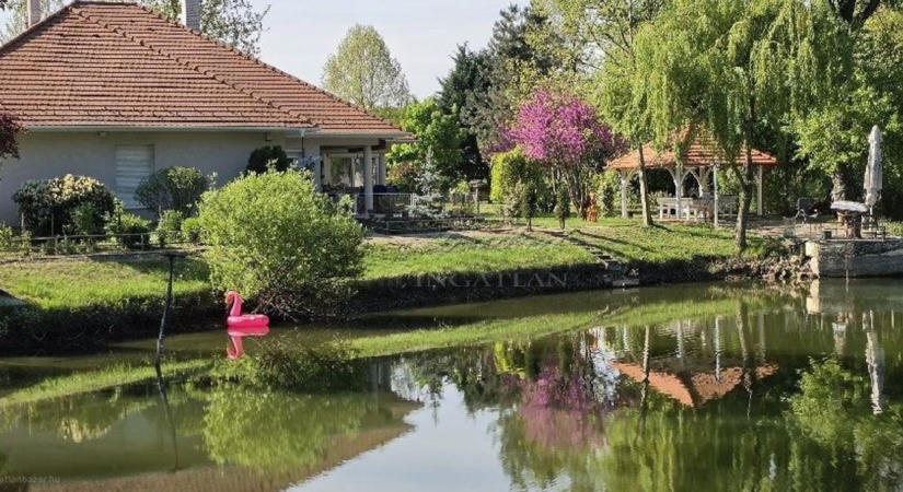 Privát tóparti birtokot árulnak a Szigetközben, ennyiért lehet a tiéd - fotók