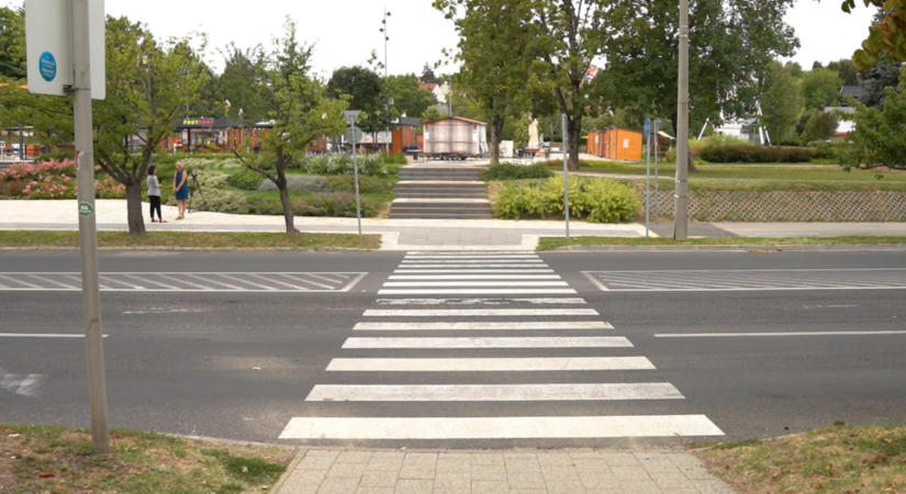 Okoszebrák létesülnek Zalakaroson