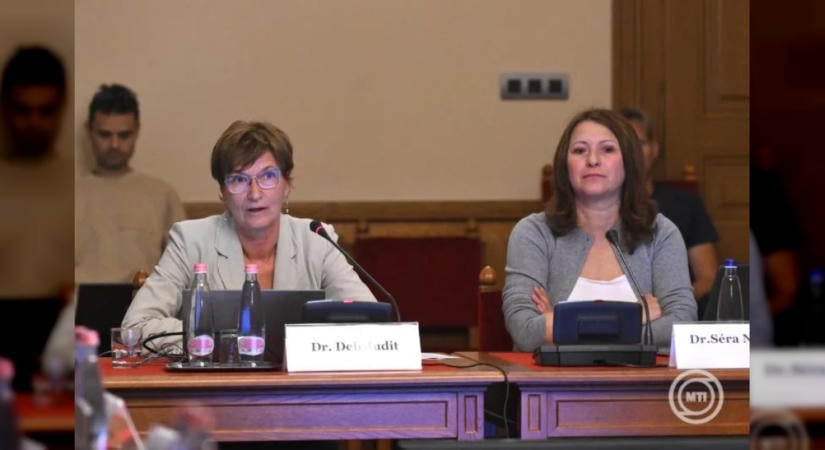 Az örökbefogadási rendszer hibáit és a kórházban hagyott csecsemők helyzetét vizsgálta a parlamenti bizottság