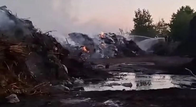 Több mint egy hét után sikerült teljesen eloltani a tüzeket Érd és Százhalombatta között – videó