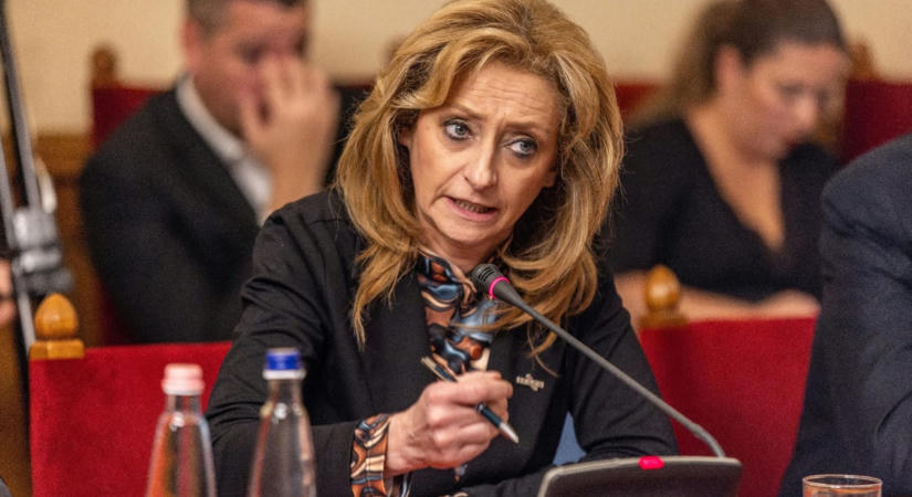 Tagadja Ferencz Orsolya, hogy a Fidesz szétszakítására készülne, de szerinte voltak „súlyos hibák, sőt, bűnök”