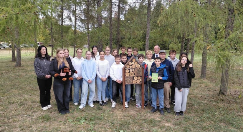 Apró albérlők, nagy küldetéssel: megnyílt Nagykanizsa legkisebb "luxusszállodája"