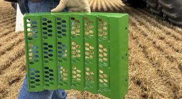 BranValt néven folytatja a Bushel Plus