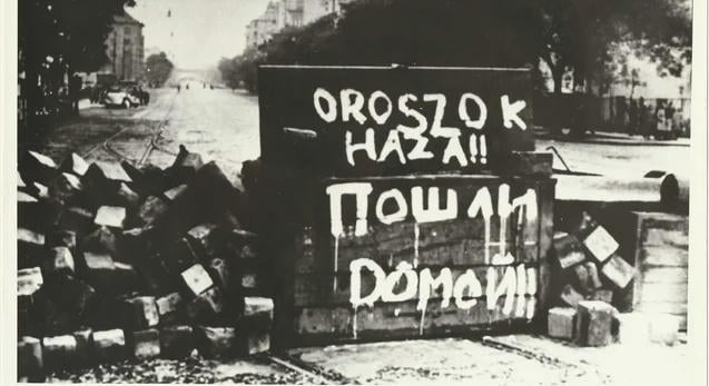 Kutyatelepről megmentett 1956-os felvételeket mutat be a Blinken OSA Archivum