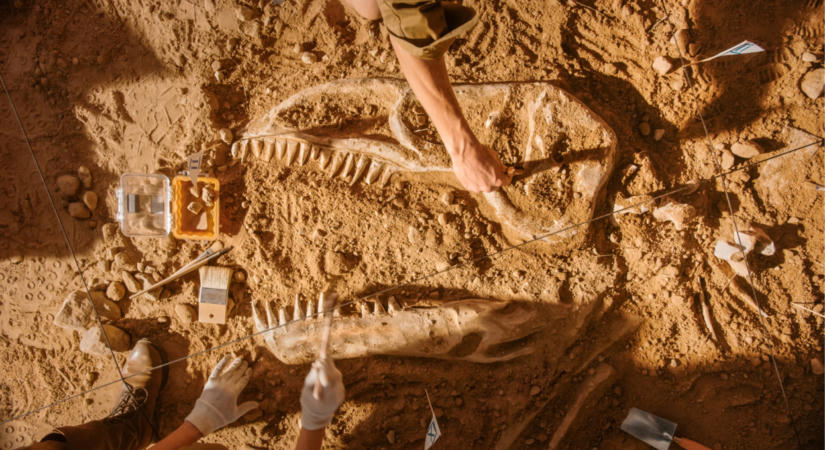 Ritka dinoszauruszlelet került elő a Bakonyban: egyetlen állkapocs segíthet megfejteni Európa ősi rejtélyét