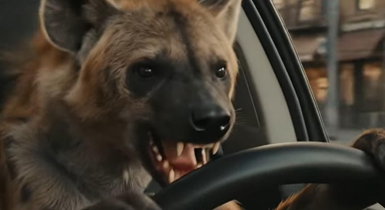 Áll a bál, a magyar vállalkozók rettenetesen ki vannak ezen akadva