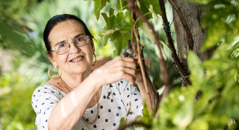 Szívszorító hírek érkeztek Oszter Sándor özvegyéről