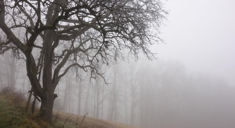 Megváltozott a téli előrejelzés, még a vártnál is rosszabb lesz