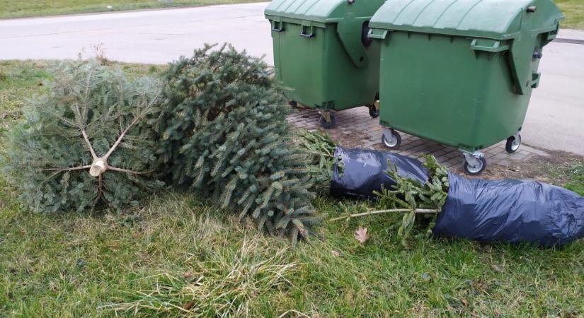 Vízkereszt, avagy viszlát karácsonyfa