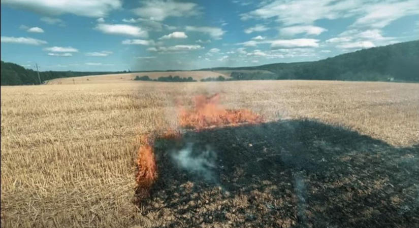 Gabonatábla gyulladt meg a Bakony szívében, régi kastély, erdő, arborétum közelében (videó)