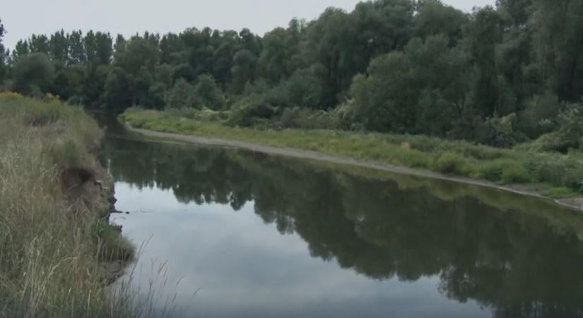Szörnyűség a Hernád partján: megkötözve találták meg a szenvedő állatot, nagyon durva, miért akartak végezni vele