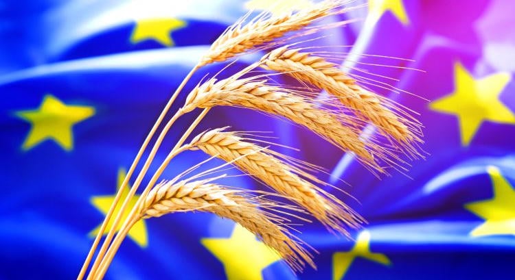 Kevesebb gabonát vesz az EU külföldről