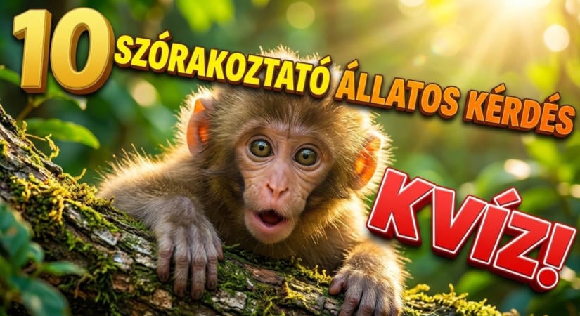 Állatos Kvíz: Menni fog a max pont? Tudod mit használ a denevér a navigáláshoz, vagy hogy hívják a hím méheket?