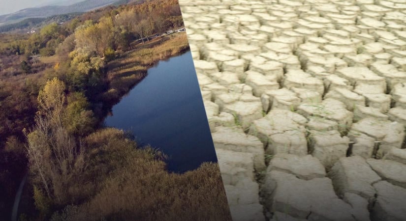 Videóriport: az aszálytól az Üvegtigris helyszínét adó Garancsi-tó is kiszárad