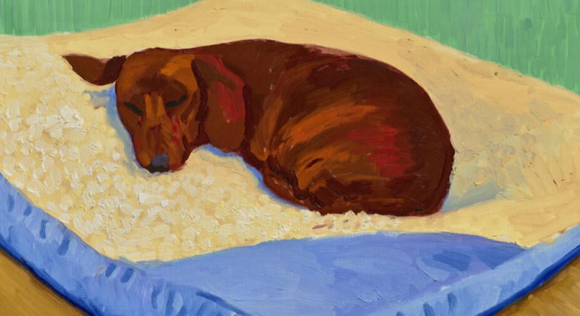 Elárverezik Hockney egyik leghíresebb kutyaportréját