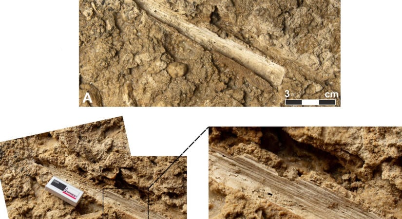 Új leletek bizonyítják: a neandervölgyi ember képességei nem sokban különböztek a miénktől