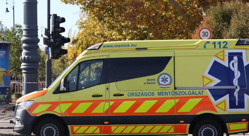 Vascsőbe szorult cicát mentettek a mezőtúri tűzoltók, az egyikük örökbe is fogadta
