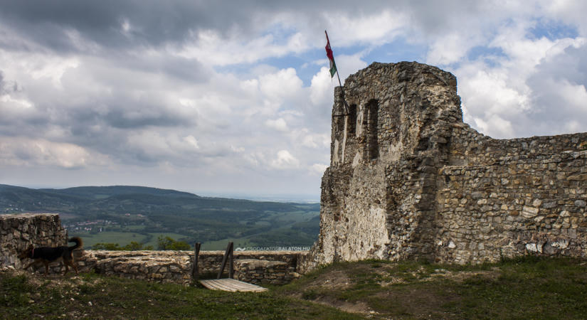 Rezi Szüreti Mulatság 2026