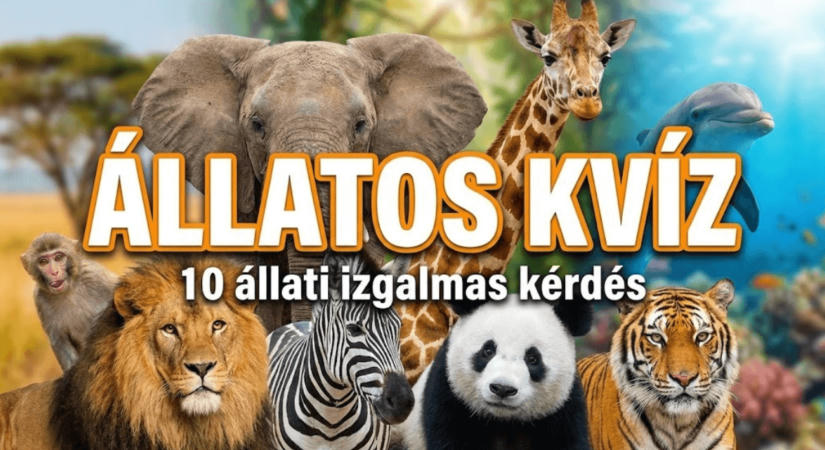 Kvíz: Mennyire ismered az állatokat? Most kiderül!