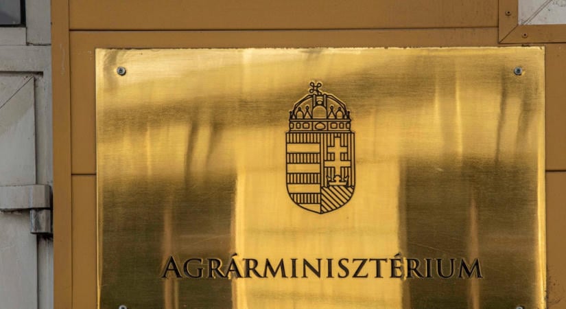 14 éve ellopott festménnyel sétáltak be az Agrárminisztériumba - ez az ember tudja, kinél volt eddig!