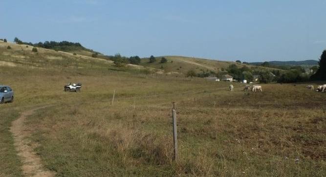 Megvan a jogerős ítélet az ózdi csordást agyonverő tinik ügyében