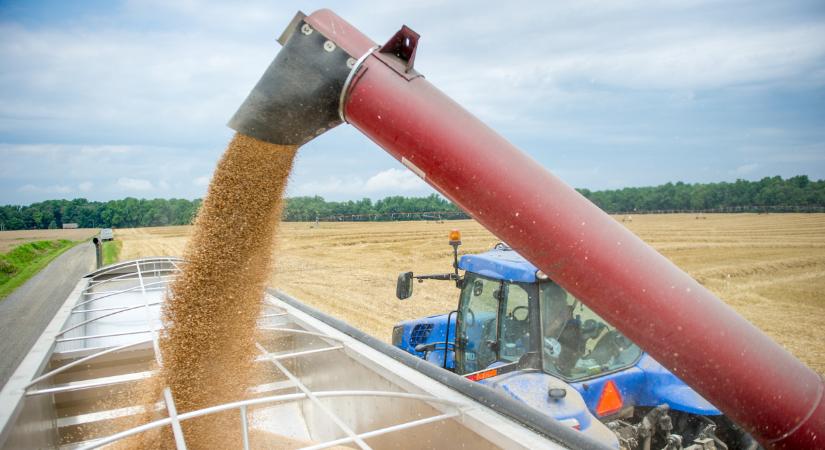 Velük kéne versenyeznünk: íme a világ legtermékenyebb agrárterületei