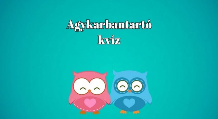 Napi adag a kvízműhelyből: 8 kérdés, ami alaposan megmozgatja az agyad
