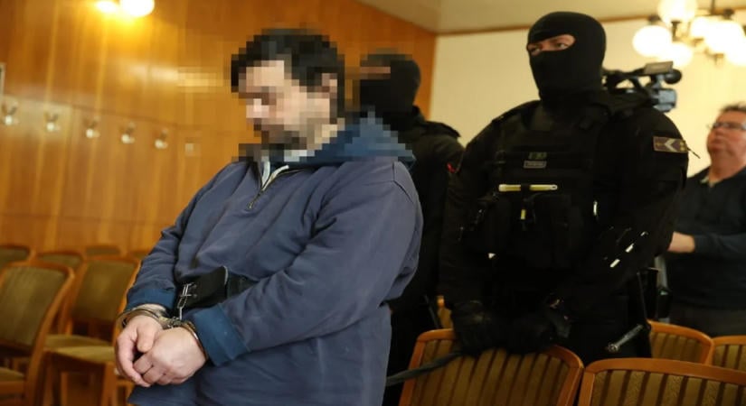 Kemény ítélet született a kislányt fojtogató sárisápi rém ügyében