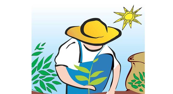 Pályázati felhívás: Első lépés szociális program