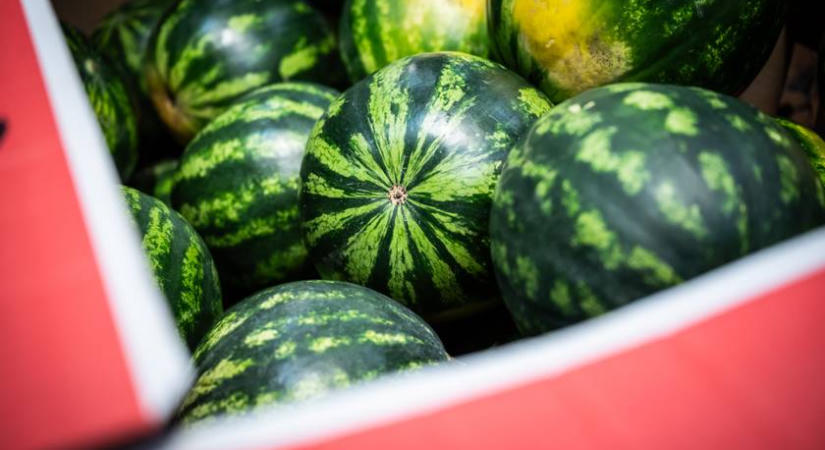 Lenyelted a dinnyemagot? Meglepő, mi történik vele a szervezetben