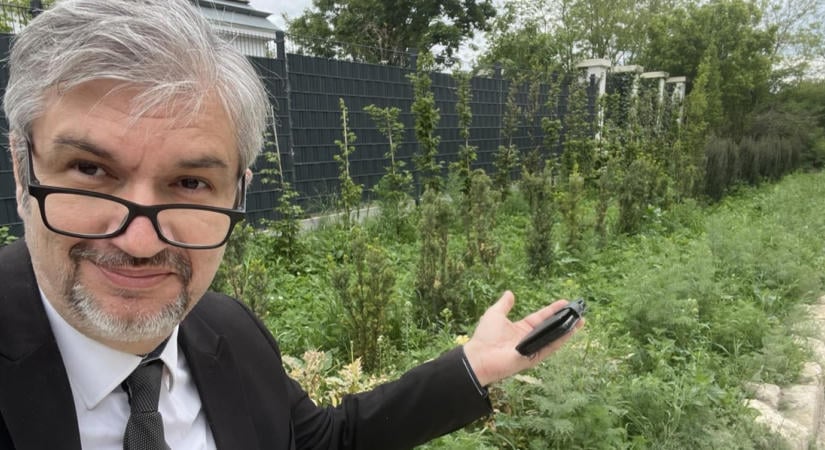 Hadházy: „Remélem, Hankó nem volt akkora lúzer, hogy nem dokumentálta, ki utasította őt a pénzek utalására"