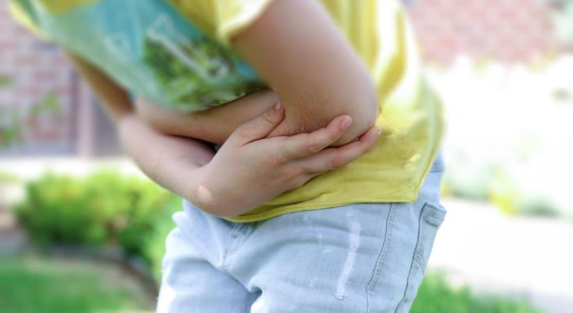 Botulizmus – Mi ez és kell-e tartani tőle itthon, vagy a nyaraláson?