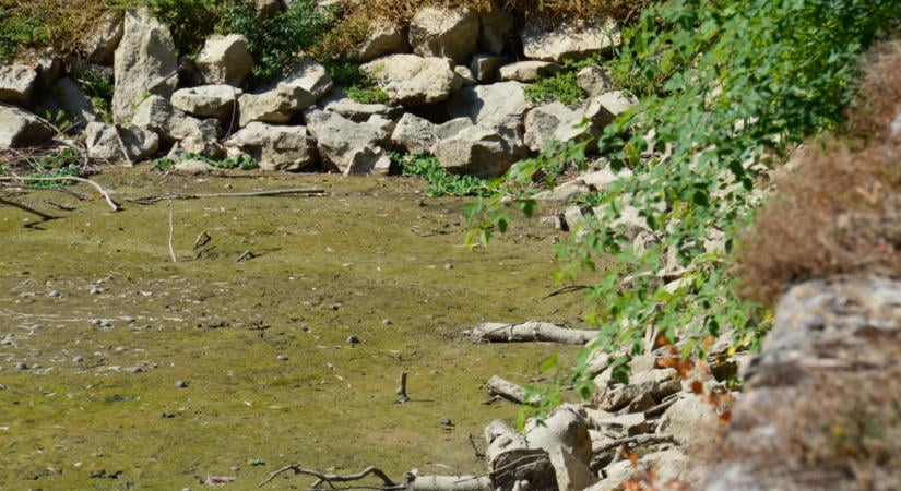 Kiszáradt a Zirci Arborétum tava is