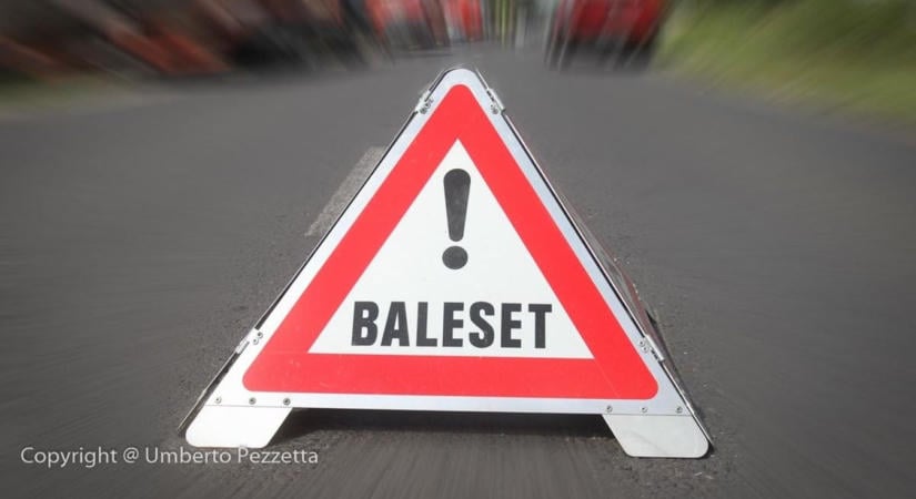 Vadat gázolt egy autó a 82-esen, Zirc és Olaszfalu között