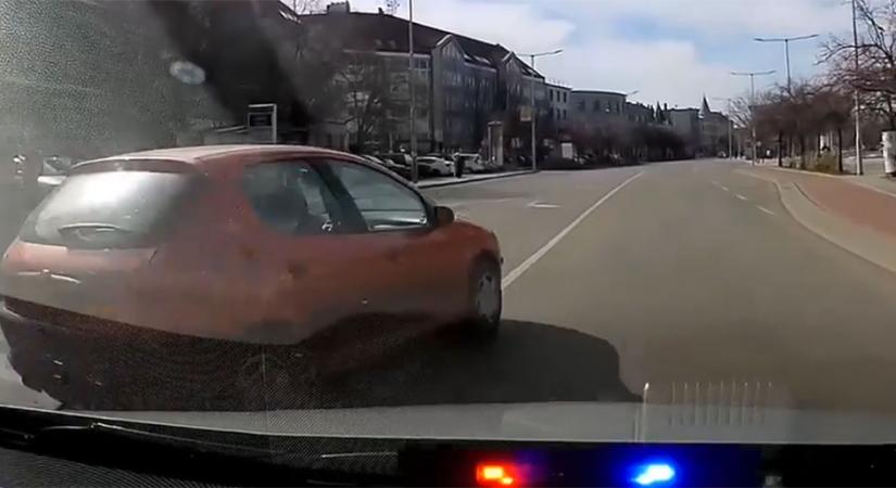 Zebrán előzött egy autós, szomorú lett, amikor megtudta, kiket - videó