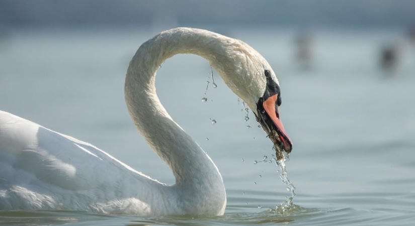 A délelőtti záporok után kisüthet a nap a Balatonnál