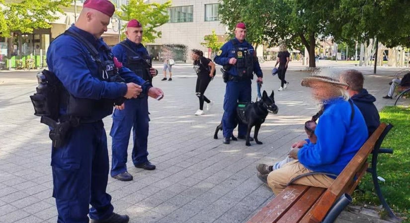 Kutyás járőrök a pályaudvarokon és a belvárosban – mi történt Szolnokon?