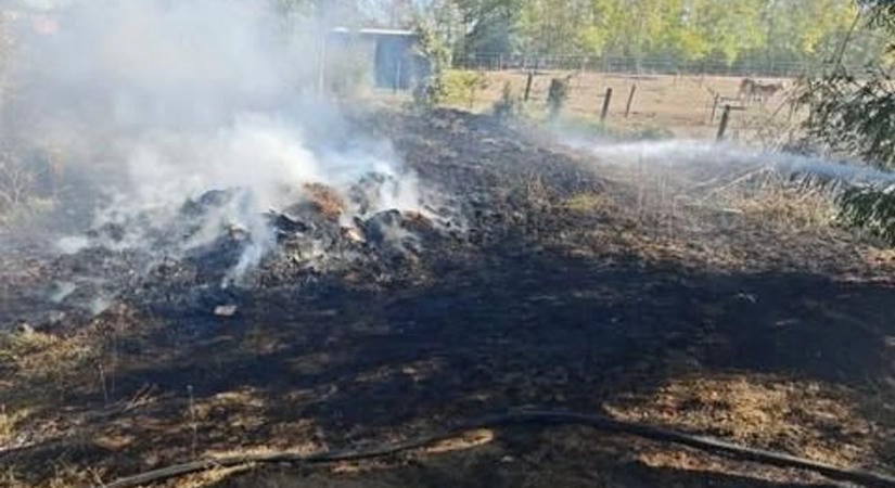 Lángra kapott a tarló Baranyában: önkéntes és hivatásos tűzoltók is a helyszínen