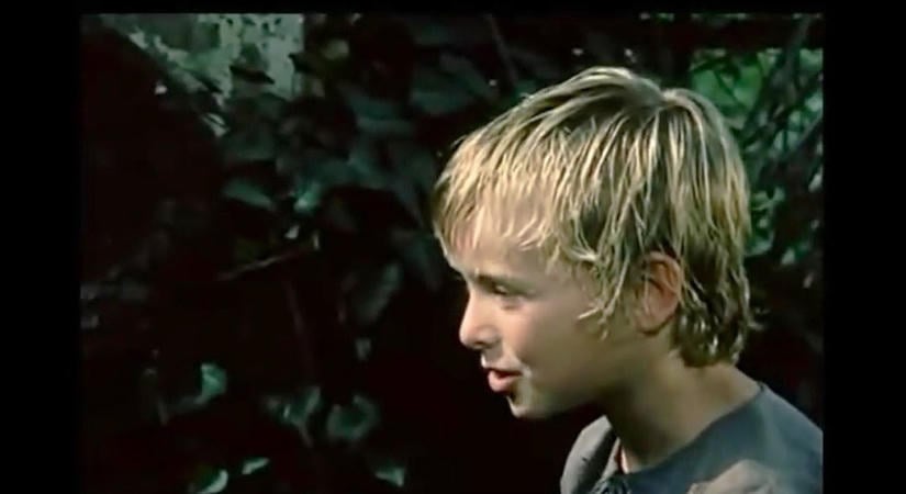 Emlékszel még az Árvácska című filmre? Így él ma a főszereplő, Czinkóczi Zsuzsa