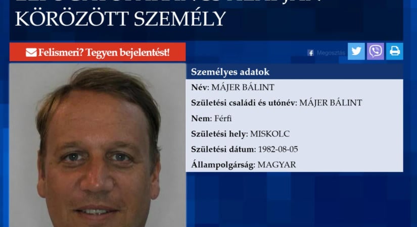 Hogyan lett milliárdos Májer Bálint?