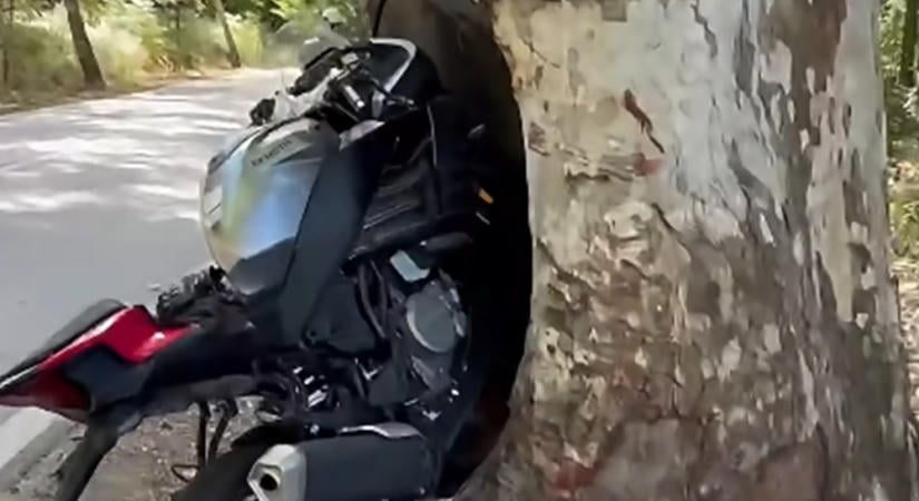 Fának csapódott a motoros, de sértetlenül megúszta