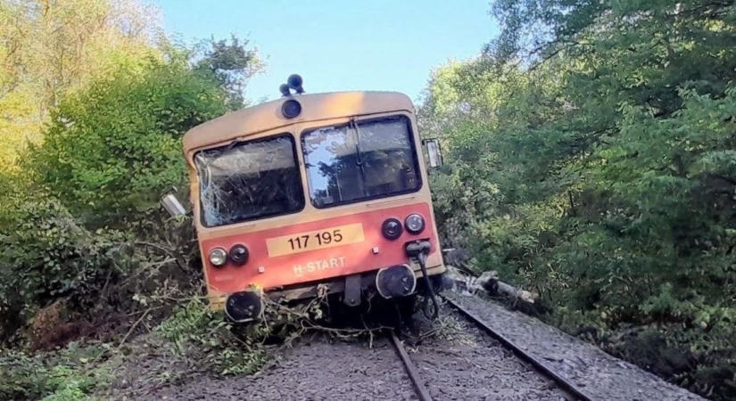Fának ütközött és kisiklott egy vonat Baranyában!
