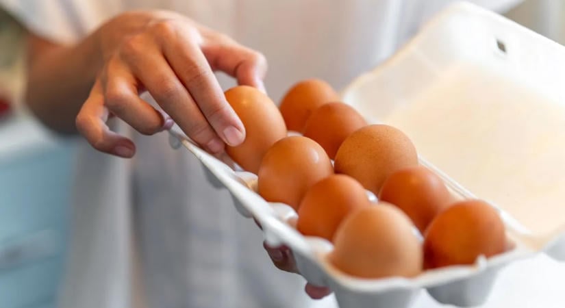 Olcsó tojás árasztja el Európát: innen érkezik a kedvező árú termék