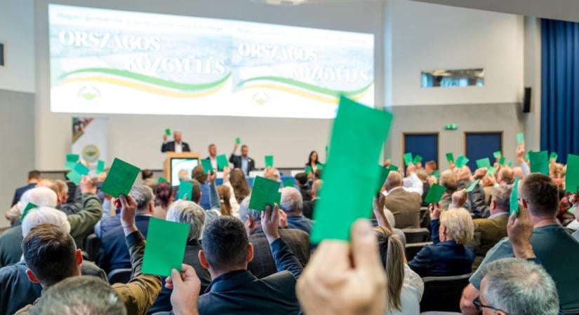 Megvan a döntés: tisztújítást tartott a MAGOSZ