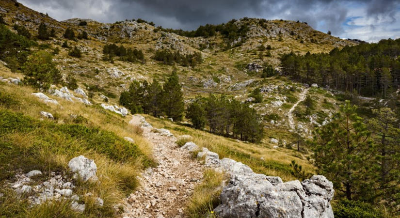 Víz nélkül maradt és meghalt Horvátországban egy cseh turista, egy 14 éves cseh lány a Dolomitokban zuhant szakadékba
