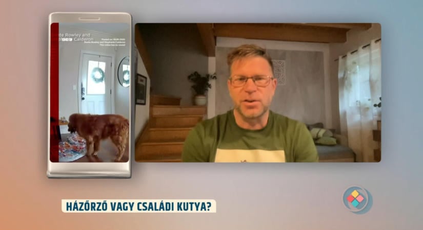 Nem védte meg a házat a golden retriever – Csörgő Balázs elárulta, mi zajlik ilyenkor a kutyák fejében