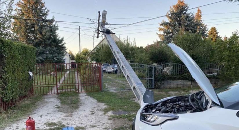 Beton villanyoszlop egy szarvas és egy ló is okozott balesetet múlt héten
