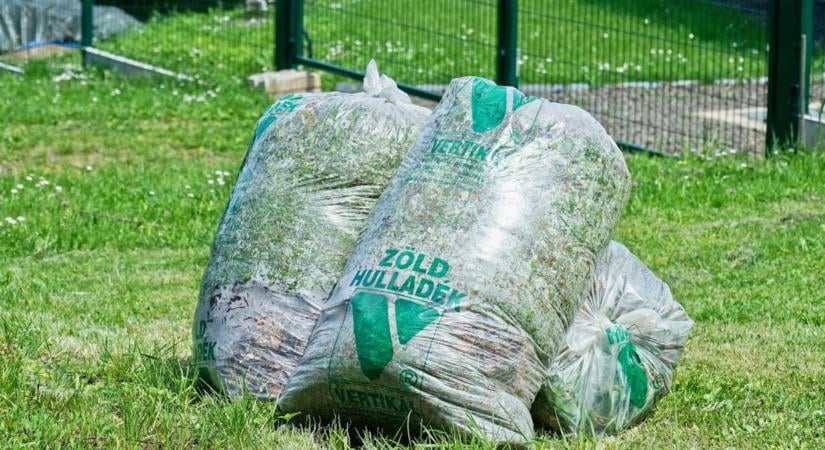 Sokan rosszul tudják, ki viszi el a zöldhulladékot Csongrádon