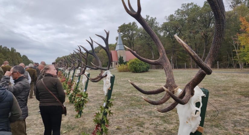 Trófeaszemle a Farkas-erdőben: a legidőseb állaté 11,64 kilogrammot nyomott